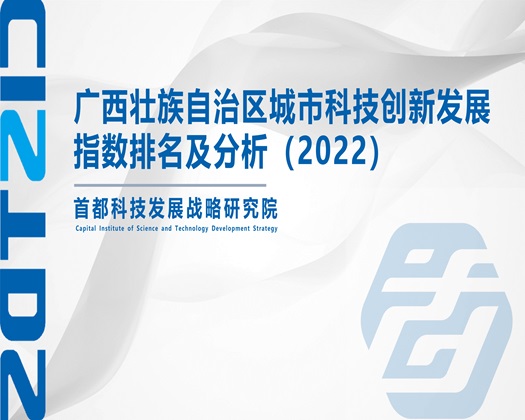 大J巴日B喷水视频【成果发布】广西壮族自治区城市科技创新发展指数排名及分析（2022）